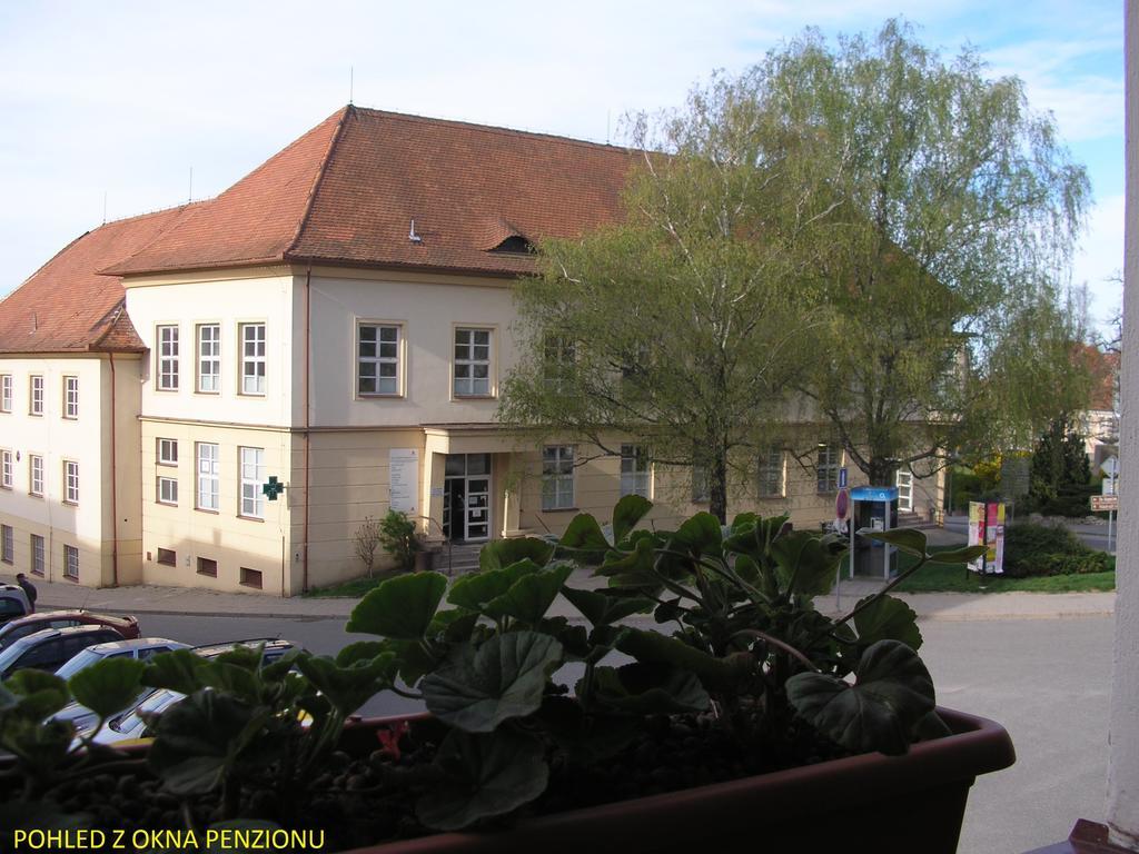 Penzion U Zabaka Mikulov Exterior photo